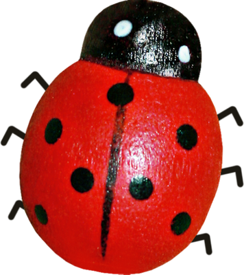 coccinelle - insecte - animaux - smiley émoticône émoji cartoon clipart illustration - artémotic