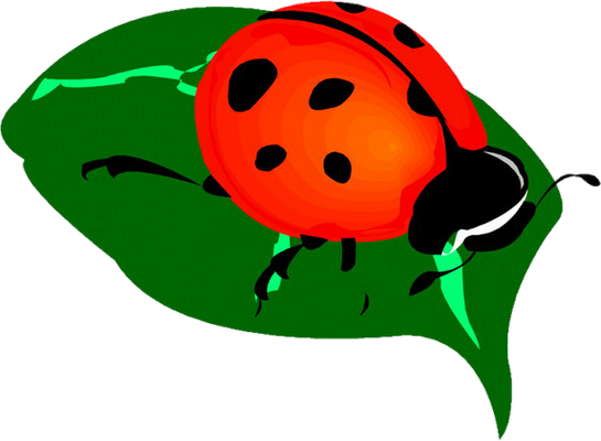 coccinelle - insecte - animaux - smiley émoticône émoji cartoon clipart illustration - artémotic