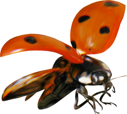coccinelle - insecte - animaux - smiley émoticône émoji cartoon clipart illustration - artémotic