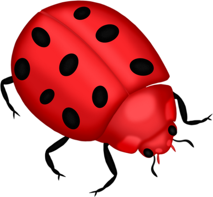 coccinelle - insecte - animaux - smiley émoticône émoji cartoon clipart illustration - artémotic