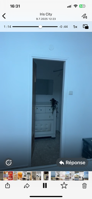 Petit dressing