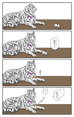 おきょんさま宅の三毛さんと