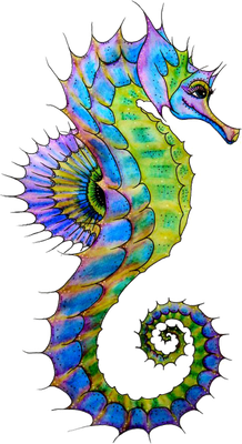 hippocampe - faune aquatique - animaux - smiley émoticône émoji cartoon clipart illustration - artémotic