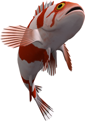 poisson-clown - faune aquatique - animaux - smiley émoticône émoji cartoon clipart illustration - artémotic