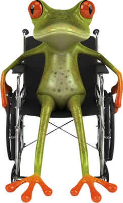 grenouille - faune aquatique - animaux - smiley émoticône émoji cartoon clipart illustration - artémotic