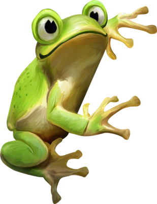 grenouille - faune aquatique - animaux - smiley émoticône émoji cartoon clipart illustration - artémotic