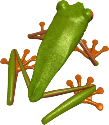 grenouille - faune aquatique - animaux - smiley émoticône émoji cartoon clipart illustration - artémotic
