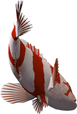 poisson-clown - faune aquatique - animaux - smiley émoticône émoji cartoon clipart illustration - artémotic