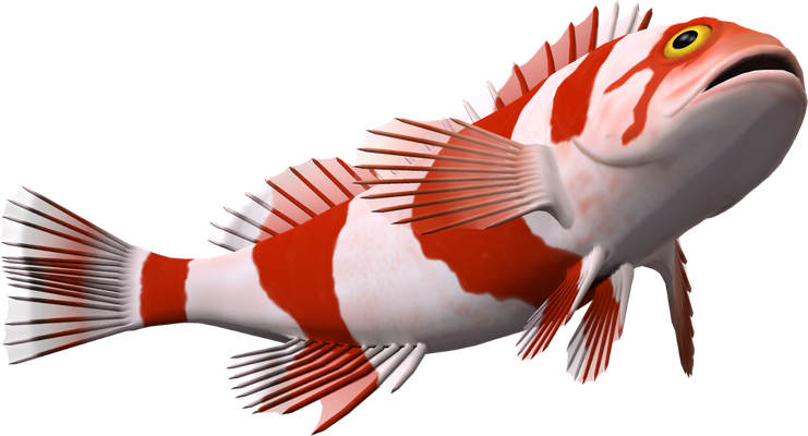 poisson-clown - faune aquatique - animaux - smiley émoticône émoji cartoon clipart illustration - artémotic
