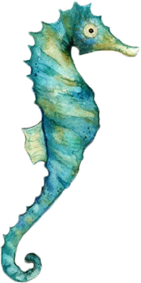 hippocampe - faune aquatique - animaux - smiley émoticône émoji cartoon clipart illustration - artémotic
