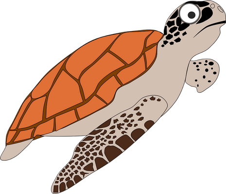 tortue marine - faune aquatique - animaux - smiley émoticône émoji cartoon clipart illustration - artémotic