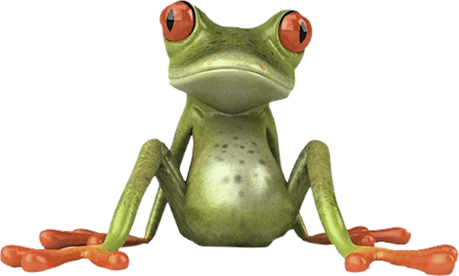 grenouille - faune aquatique - animaux - smiley émoticône émoji cartoon clipart illustration - artémotic