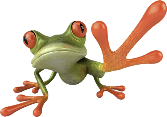 grenouille - faune aquatique - animaux - smiley émoticône émoji cartoon clipart illustration - artémotic