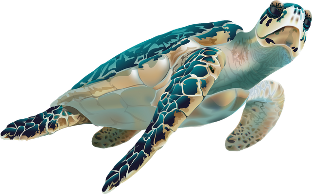 tortue marine - faune aquatique - animaux - smiley émoticône émoji cartoon clipart illustration - artémotic