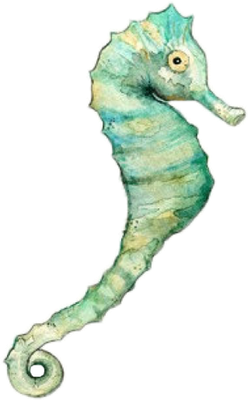 hippocampe - faune aquatique - animaux - smiley émoticône émoji cartoon clipart illustration - artémotic