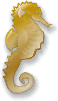 hippocampe - faune aquatique - animaux - smiley émoticône émoji cartoon clipart illustration - artémotic