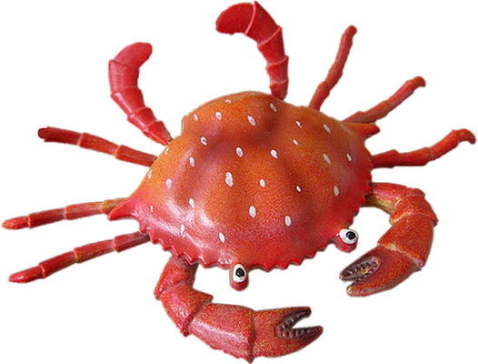 crabe - faune aquatique - animaux - smiley émoticône émoji cartoon clipart illustration - artémotic
