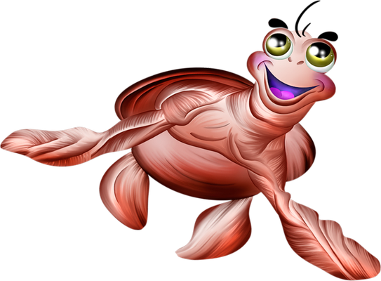 tortue marine - faune aquatique - animaux - smiley émoticône émoji cartoon clipart illustration - artémotic
