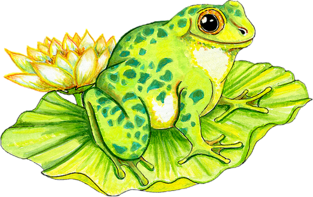 grenouille - faune aquatique - animaux - smiley émoticône émoji cartoon clipart illustration - artémotic