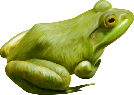 grenouille - faune aquatique - animaux - smiley émoticône émoji cartoon clipart illustration - artémotic