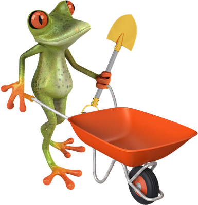 grenouille - faune aquatique - animaux - smiley émoticône émoji cartoon clipart illustration - artémotic
