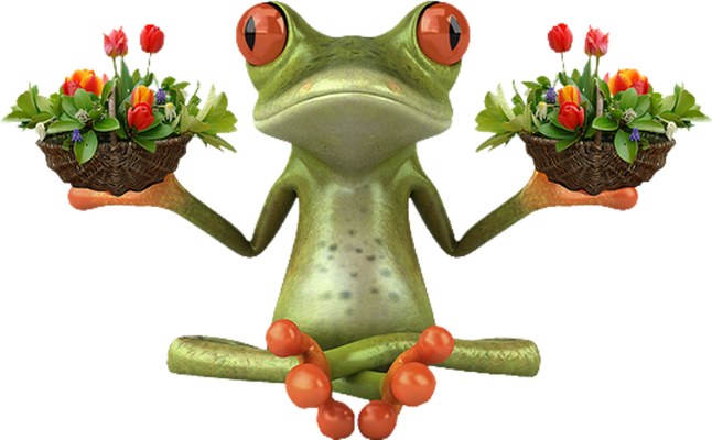 grenouille - faune aquatique - animaux - smiley émoticône émoji cartoon clipart illustration - artémotic