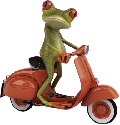 grenouille - faune aquatique - animaux - smiley émoticône émoji cartoon clipart illustration - artémotic