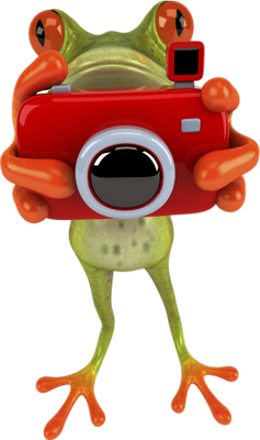 grenouille - faune aquatique - animaux - smiley émoticône émoji cartoon clipart illustration - artémotic