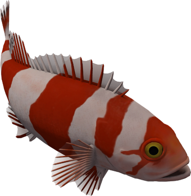 poisson-clown - faune aquatique - animaux - smiley émoticône émoji cartoon clipart illustration - artémotic
