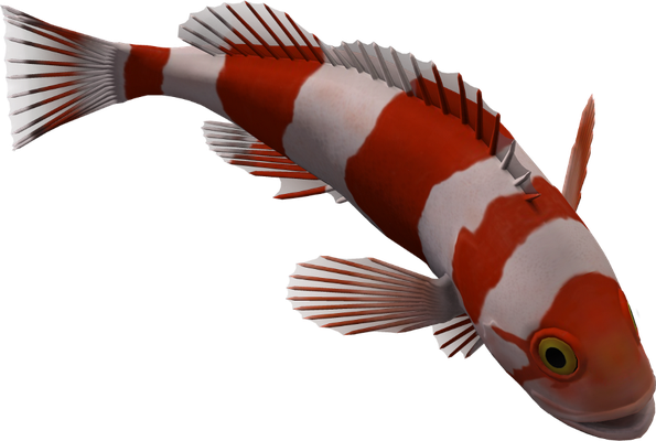 poisson-clown - faune aquatique - animaux - smiley émoticône émoji cartoon clipart illustration - artémotic