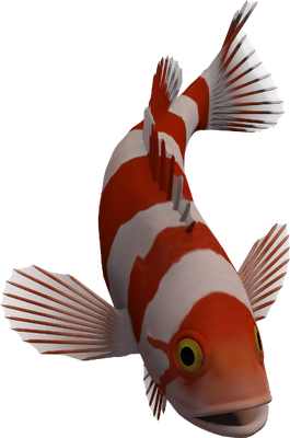 poisson-clown - faune aquatique - animaux - smiley émoticône émoji cartoon clipart illustration - artémotic
