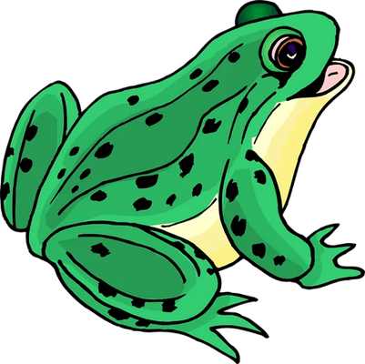 grenouille - faune aquatique - animaux - smiley émoticône émoji cartoon clipart illustration - artémotic