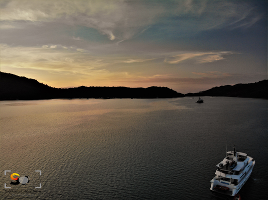 Great Barrier Island, iso 400, f 5.6, 1/300s