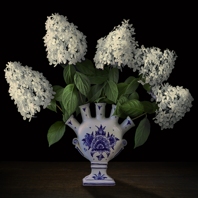 T.M. Glass, "Hydrangeas in a Dutch Tulipiere," archival pigment print on hand-made Italian rag paper, available in 30 x 30 inches, 42 x 42", 52 x 52", and 58 x 58", contact for price 