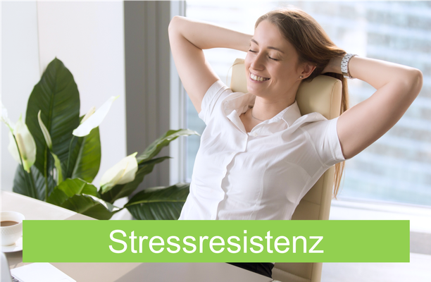 Modernes Mentaltraining für mehr Ruhe, Gelassenheit und Stressresistenz