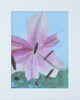Lilie, Pastell auf Papier