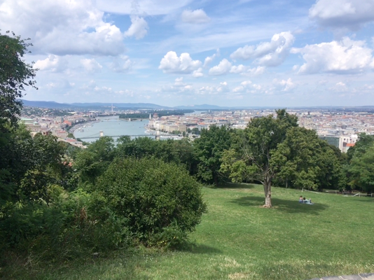Budapest Blick von der Citadelle