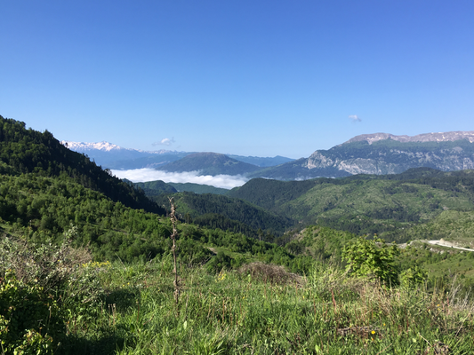 Auf dem Weg nach Monodendri