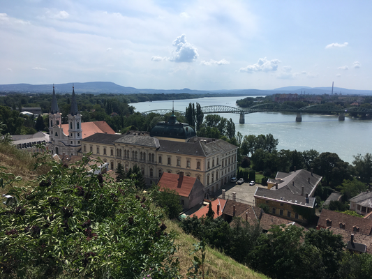Blick auf die Donau von der Basilika