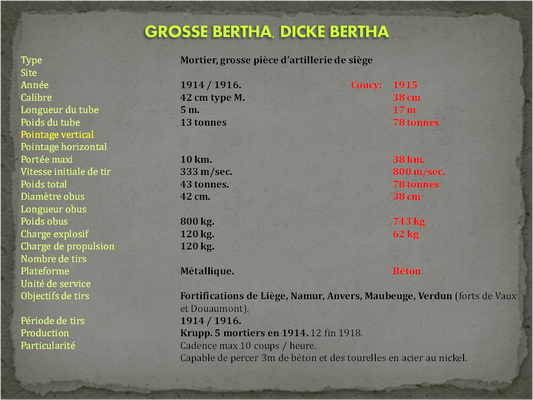 Carte d'identité de la Bertha