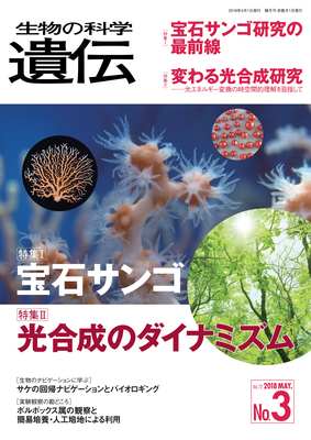 生物の科学 遺伝 - seibutsu-kagaku-iden2 生物の科学 遺伝Webページ