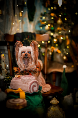 『レトロクリスマス』