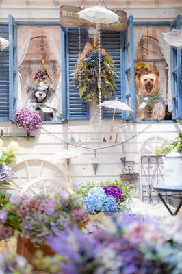 『Summer garden』