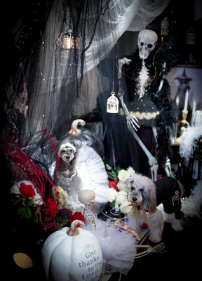 『ハロウィーン～skeleton～』