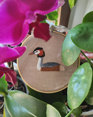 Haubentaucher-Wandbild von @eltendederodelacurruquita