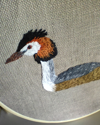 Haubentaucher-Wandbild von @eltendederodelacurruquita