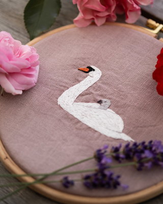 Schwan mit Küken von @_carl_ina