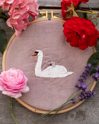 Schwan mit Küken von @_carl_ina