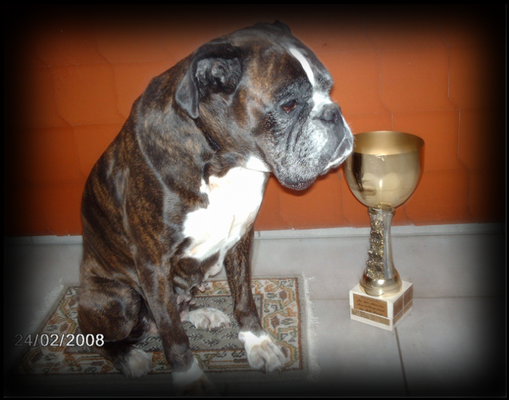 Orvette vom Eick geb. 04.08.1998 gest. 01.2009 AK: AD, ZTP