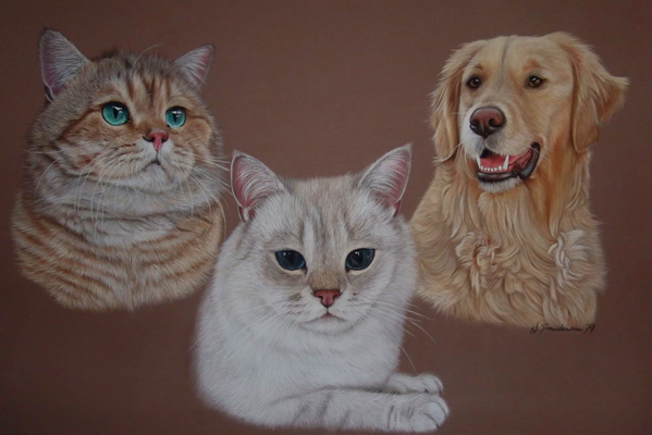 Diamond, Holly & Amelie, Pastell 40x60cm